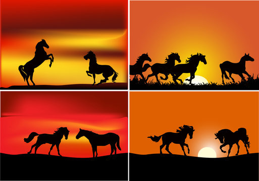 four compositions with horses at sunset