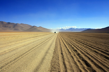 Fototapeta na wymiar Rajd w piasek pustyni