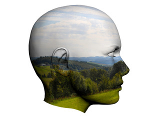 Picture in my Head