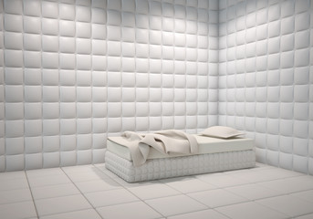 mental hospital padded room