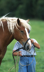 agriculteur préparant son cheval