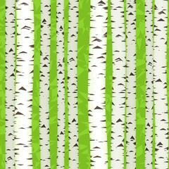 naadloze berk stengels illustratie als lente textuur achtergrond
