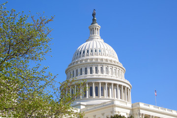 The Dome of the U.S. Capitol Against a Bright Blue Sky
