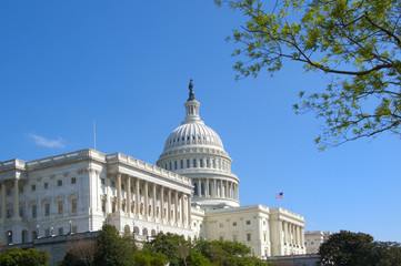 The U.S. Capitol Building in Washington
