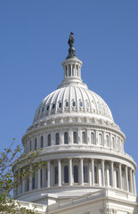 The Dome of the U.S. Capitol Against a Bright Blue Sky