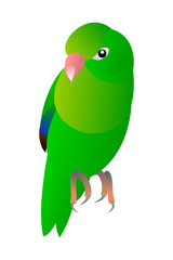 green birdy