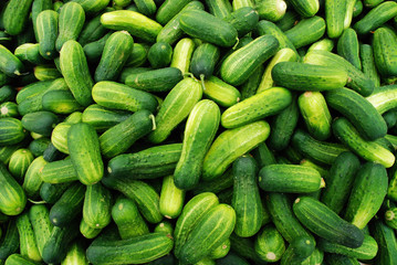 Cucumbers