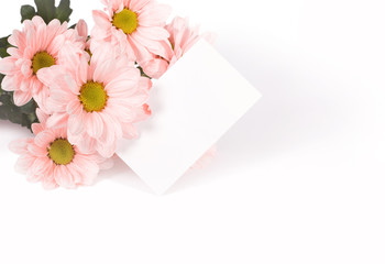 Mother's Day Concept- Post card with pastel flowers.