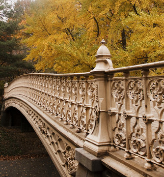 Park Bridge in Autumn