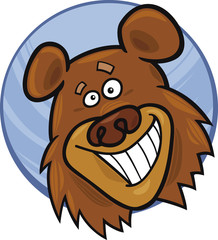 funny bear