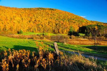 Peak Fall Foliage