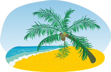 Fototapeta na wymiar Summer beach with sea sun and palm tree