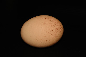 Egg on black