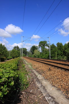 catenary of a railway track