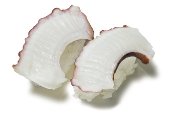 tako-nigiri