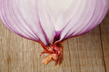close up red onion on wood