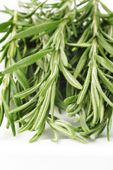 close up rosemary