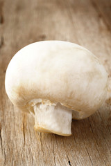 one mushroonm on wood