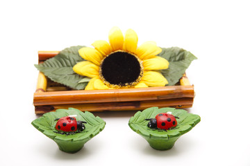 Marienkäfer und Sonnenblume