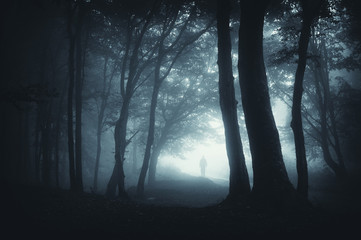 shadow sneaking in the forest