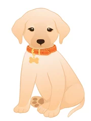Fotobehang Labrador Retriever-puppy © fireflamenco
