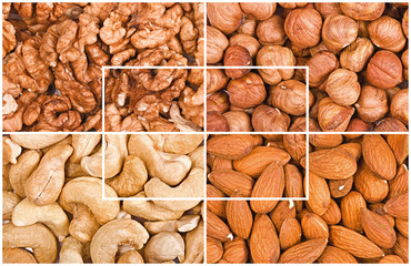 Some kinds of nuts fragments a collage