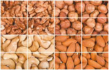 Some kinds of nuts fragments, collage