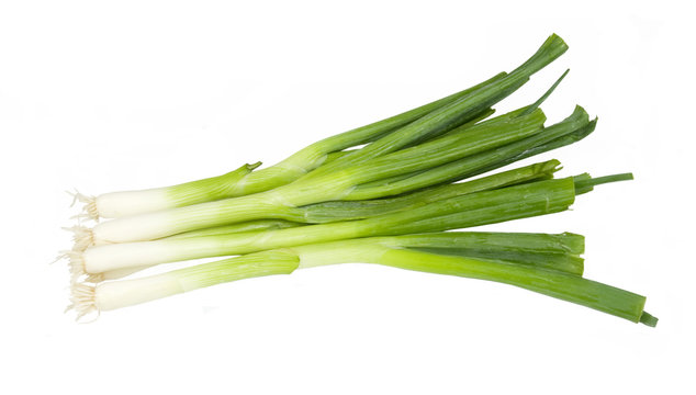 bunch of fresh onions on a white background