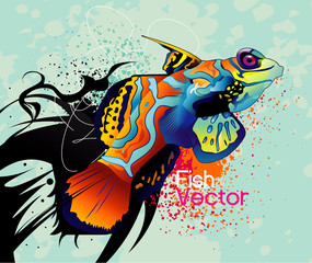 color fish abstract vector