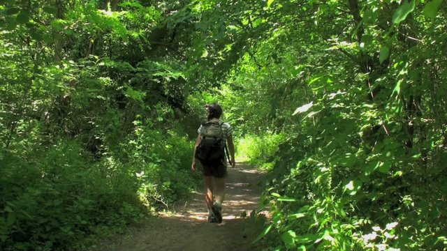 Marcheuse randonneuse traversant une for&ecirc;t sur un chemin