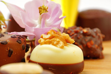 lecker pralinen #67