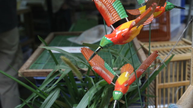 Chinese market. Birds.