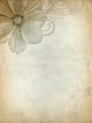 Hintergrunddesign mit Blüte