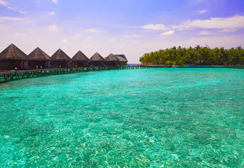 Maldives. Island in ocean and  overwater villas .