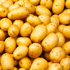 Potato pattern