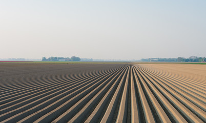 plowed field