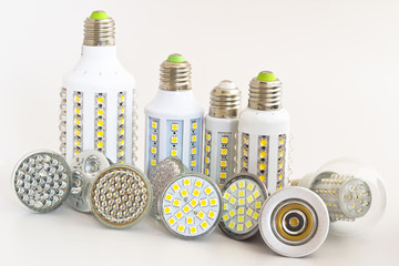 various types of bulbs