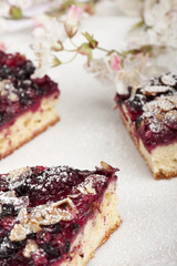 wild berrie dessert