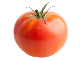 Tomato isolated