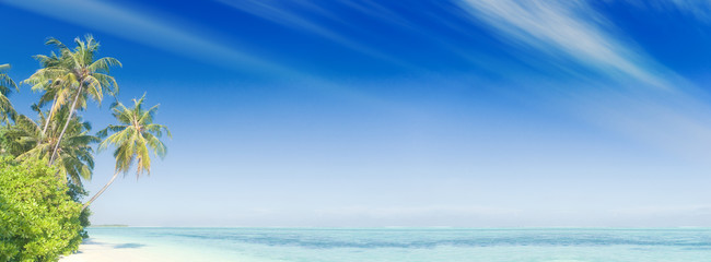 Fototapeta na wymiar Tropischer Strand mit Palmen