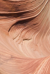 The Wave detail, Paria canyon, Arizona