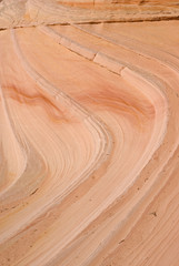 The Wave detail, Paria Canyon. Arizona