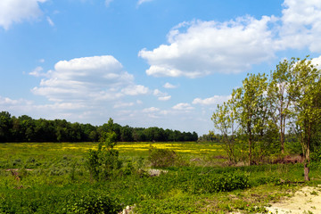 Ried,und Naturschutzgebiet,Obeda