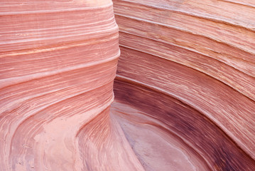 The Wave detail, Paria canyon, Arizona