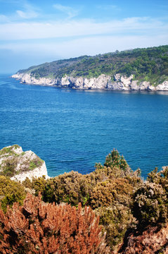 landscape with coastline