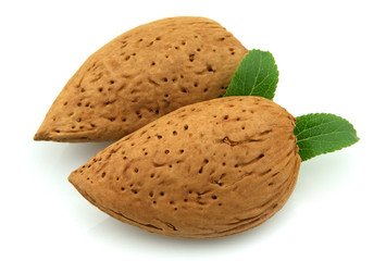 almonds with leaves