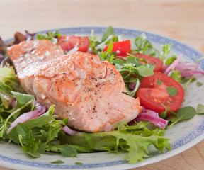 salmon