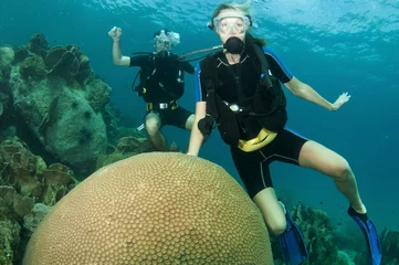 Rugzak silouetted scuba divers on coral reef © JonMilnes