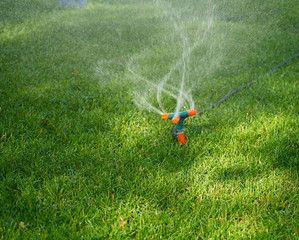 Sprinkler Spraying Water On Grass
