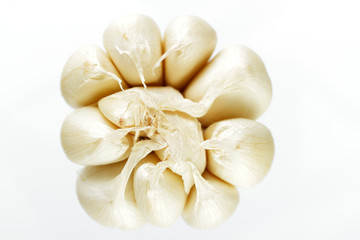Knoblauch